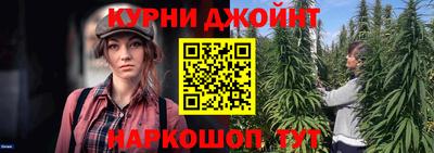 apvp Можга