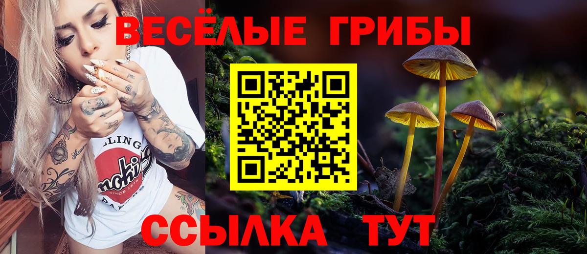 Псилоцибиновые грибы мицелий Таганрог