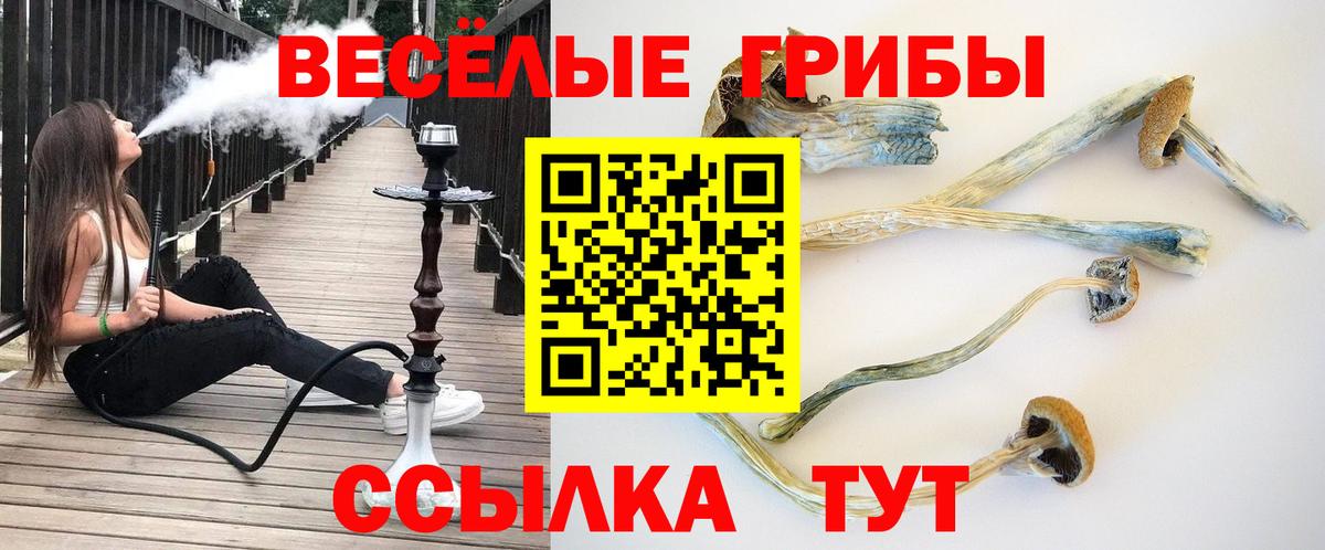 Псилоцибиновые грибы прущие грибы  Вход с VPN  Таганрог 